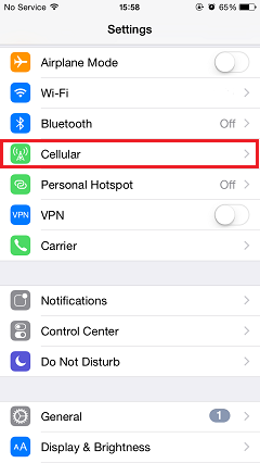 Select Cellular in Settings