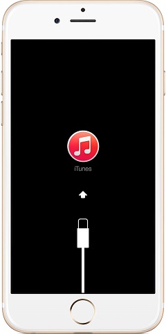 Connect iPhone 6 with iTunes