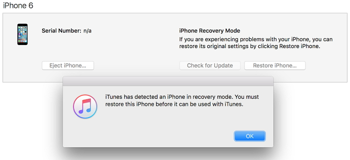 iPhone itunes restore